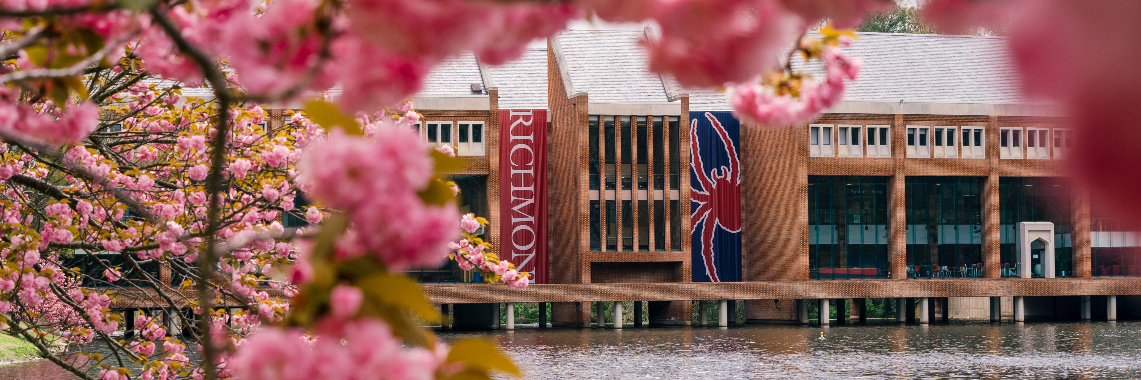 A photo of the Tyler Haynes Commons at the University of Richmond. Two campus banners, one in red an one in blue are prominent in the shot, framed by pink cherry blossoms in the foreground.