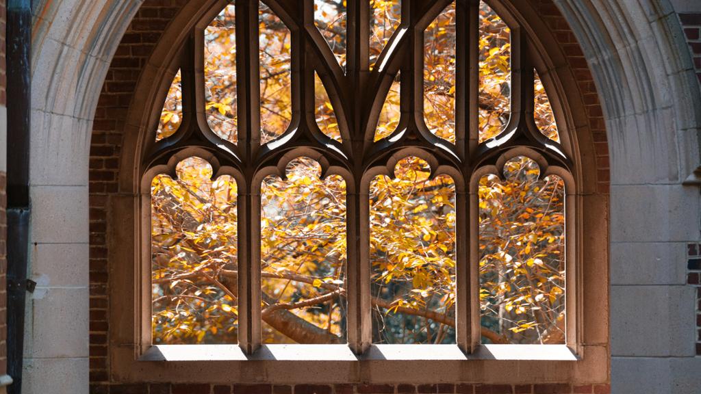 A view of fall foliage through the windows on Ryland Hall.