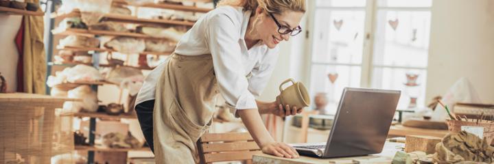 home based business school of professional continuing studies